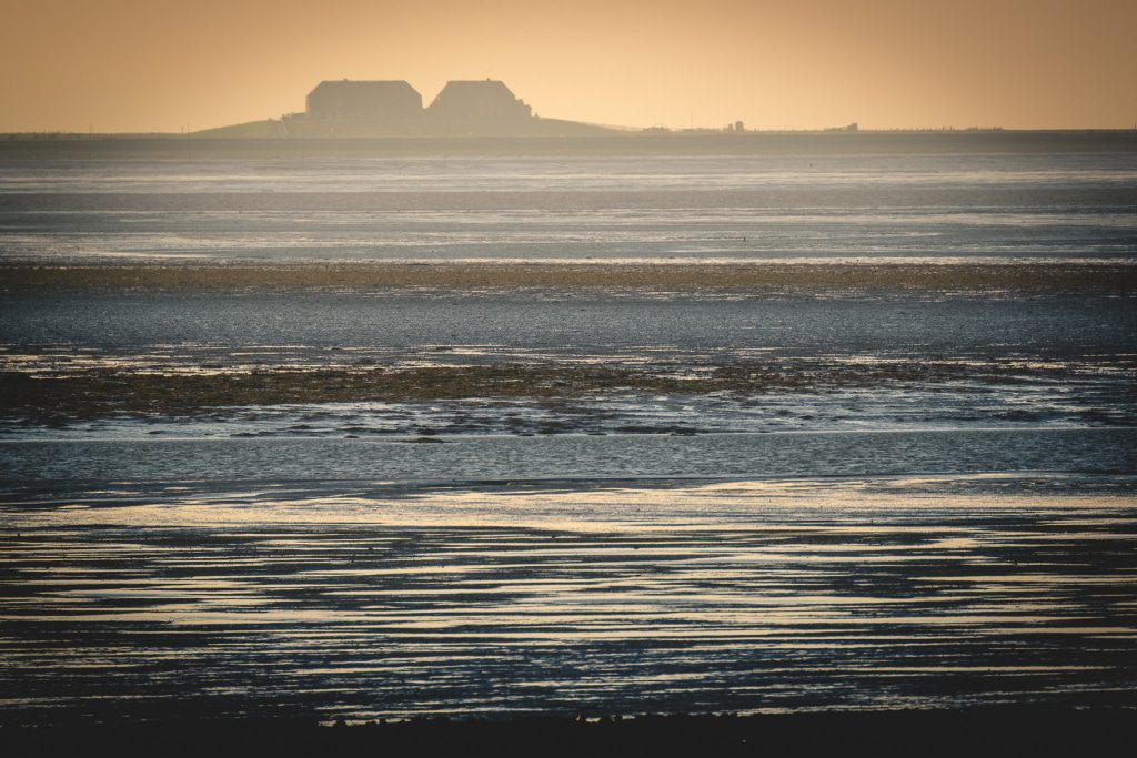 Der Geruch von Salz und Meer... 2