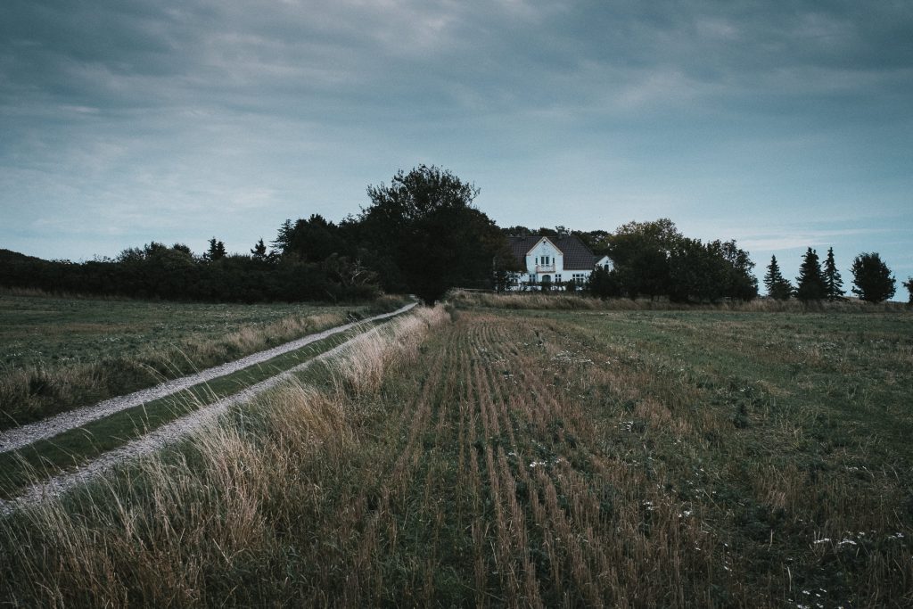 Møns Klint - Denmark